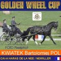 Kwiatek Barolomiej 3rd Place Dressage Golden Wheel CUP Single Driving CAI-A Haras De La Nee France, 47,36  Points